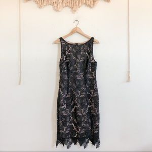 BB Dakota Black Lace Overlay Sheath Cocktail Dress